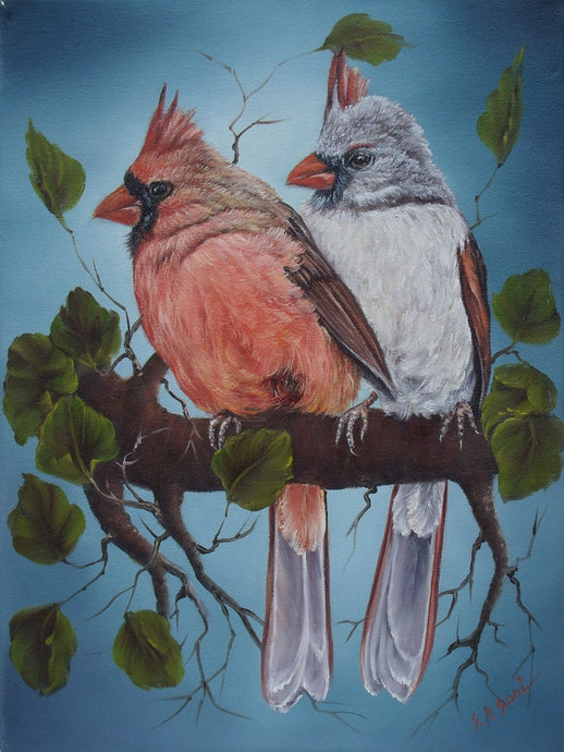 Northern Cardinals