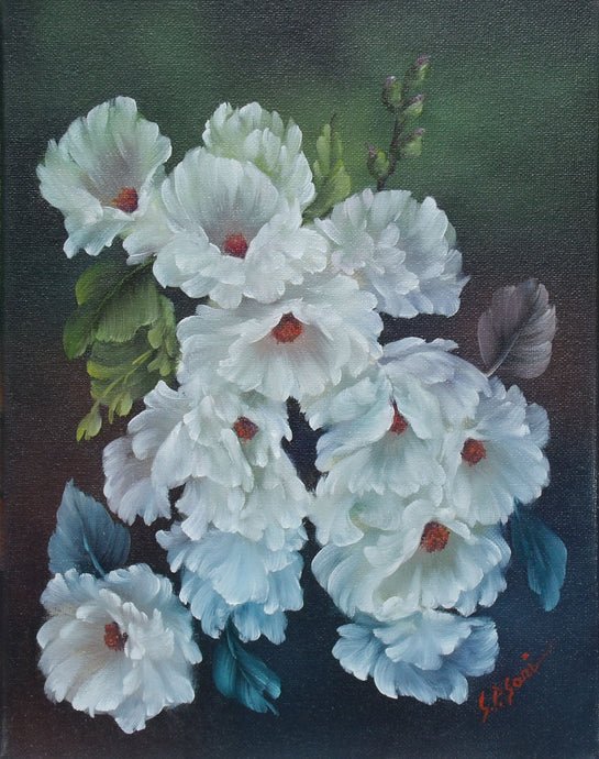 White Peonies